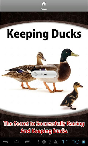 【免費書籍App】Keeping Ducks-APP點子