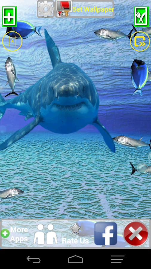    Angry Shark Pet Cracks Screen- screenshot  