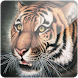 3D Tiger