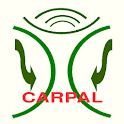 WellWave Carpal Tunnel logo
