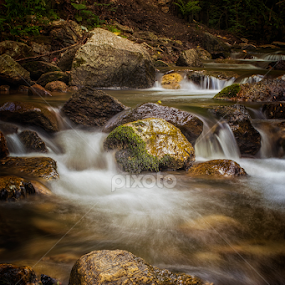 River Vucjanka by Stefan Stojanovic - Landscapes Waterscapes