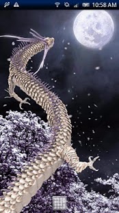 Black Dragon-DRAGON PJ Free Screenshots 1