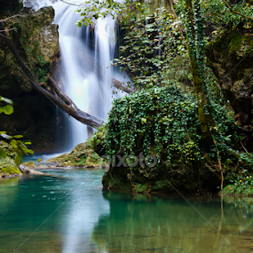 Waterfall Văioaga  by Petre Dalea - Landscapes Waterscapes