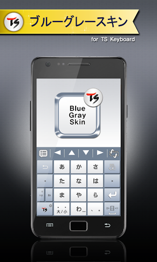 ブルーグレースキンfor TSキーボード