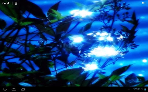 免費個人化App|Lake Waters Sunlight Foliage|阿達玩APP