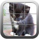 Picture Puzzle Cute Cats mobile app icon