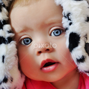 Dalmation Hat by Cheryl Korotky - Babies & Children Child Portraits