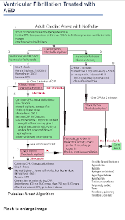 ACLS Provider Manual VT VF