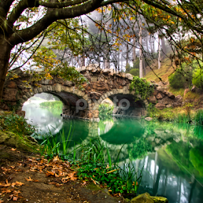 Golden Gate Park Bridge by John Souza - City,  Street & Park City Parks