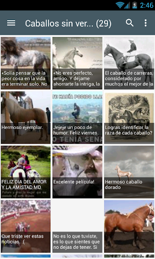 Imagenes de caballos