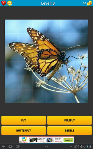 【免費教育App】Guess The Animals-APP點子