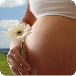 Cover Image of Baixar Calendário de gravidez 2.3.3 APK