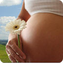 Pregnancy Calendar 2.3.0 APK Download
