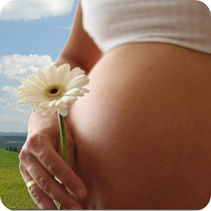 Pregnancy Calendar