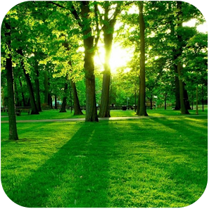 Green Forest.apk 1.2