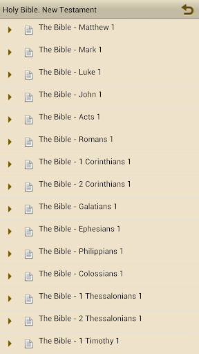 Jerusalem Bible. New Testament