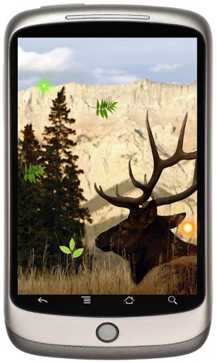 Deers Wild live wallpaper