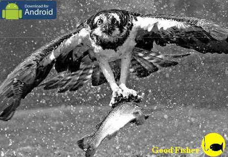 How to download GoodFisher 1.0 apk for bluestacks