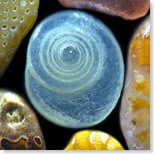 From A Grain of Sand: Nature's Secret Wonder by Gary Greenberg.