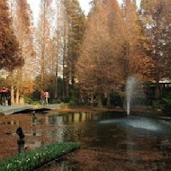 菁芳園 Tenway Garden／花園餐廳／落羽松