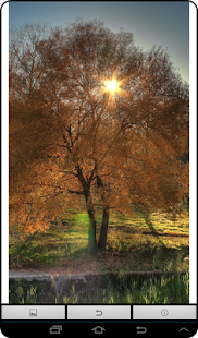 How to get Live Autumn Wallpaper lastet apk for bluestacks