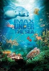 Under the Sea