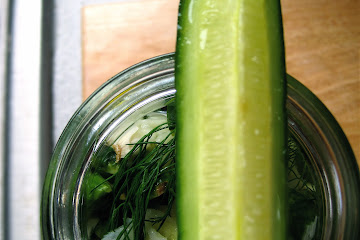 24 Hour Dill Pickles