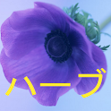 iTosenyo logo