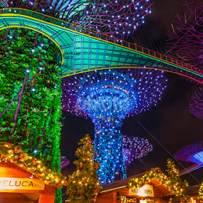 Gardens By The Bay by Aditya Permana - Public Holidays Christmas