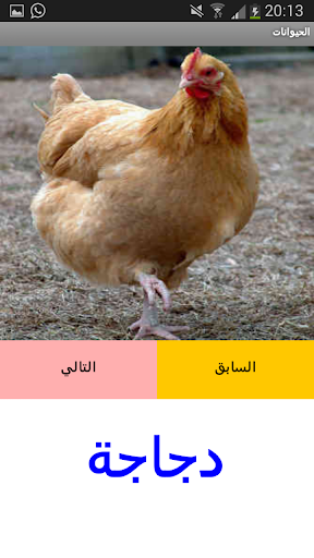 Animals in Arabic