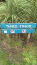 Tanes Track