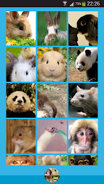 Animal Wallpapers poster 5