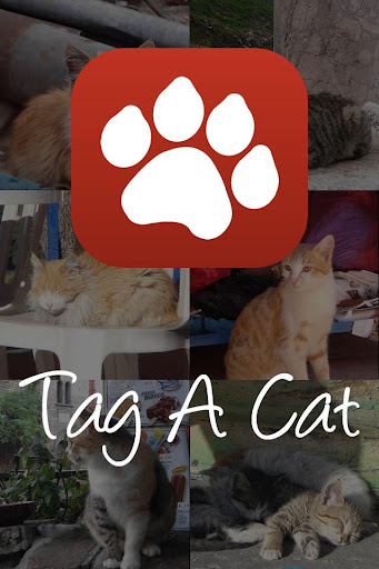 Tag A Cat