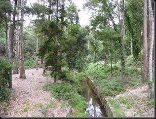 P1000127