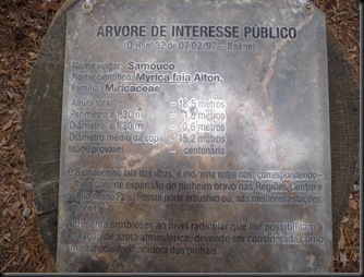 P1000213