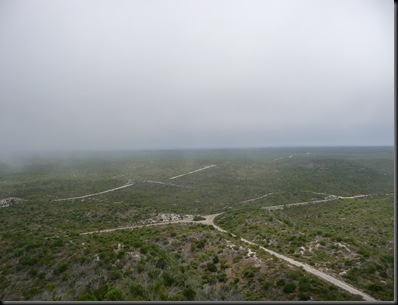 P1000266