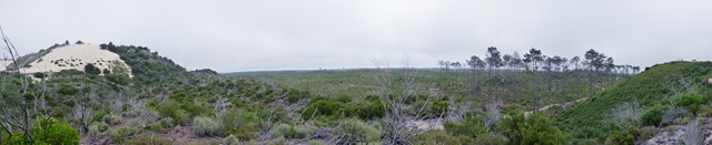 [Panorama 1[3].jpg]
