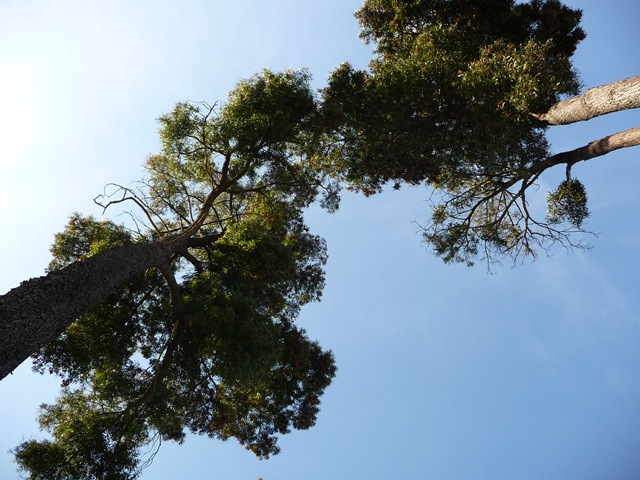 [P1010685[3].jpg]