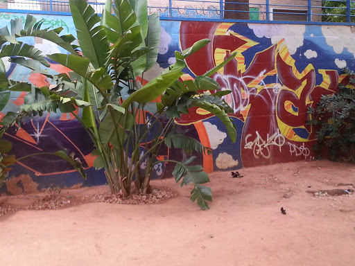 Grafiti Aljarafeño Selvático