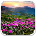 Flores da montanha icon