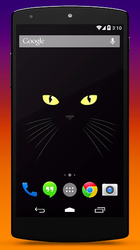 Black Cat Live Wallpaper
