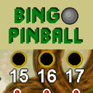 Bingo Pinball Dragon.apk 1.3