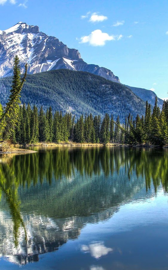 горы кавказа. водопад анхель венесуэла. горная река анимация. живой гор. San juan mountains.