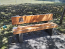 Lions Project Bench