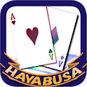 HAYABUSA Couple logo