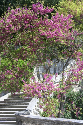 [Nimes0446.jpg]