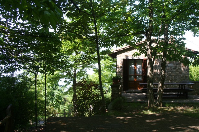 [Contandina0045.jpg]