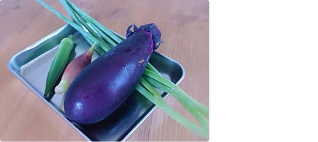 月末の食卓にこれどう ナスのソーメンは蒸し暑い日にピッタリ