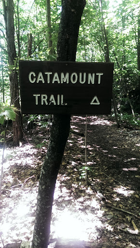 Catamounts Trail