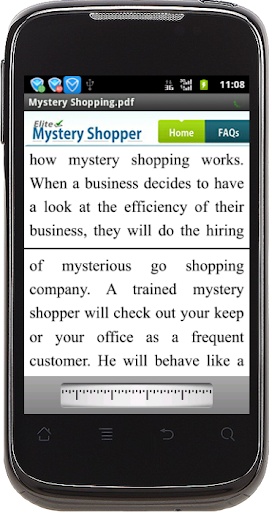 Mystery Shopping